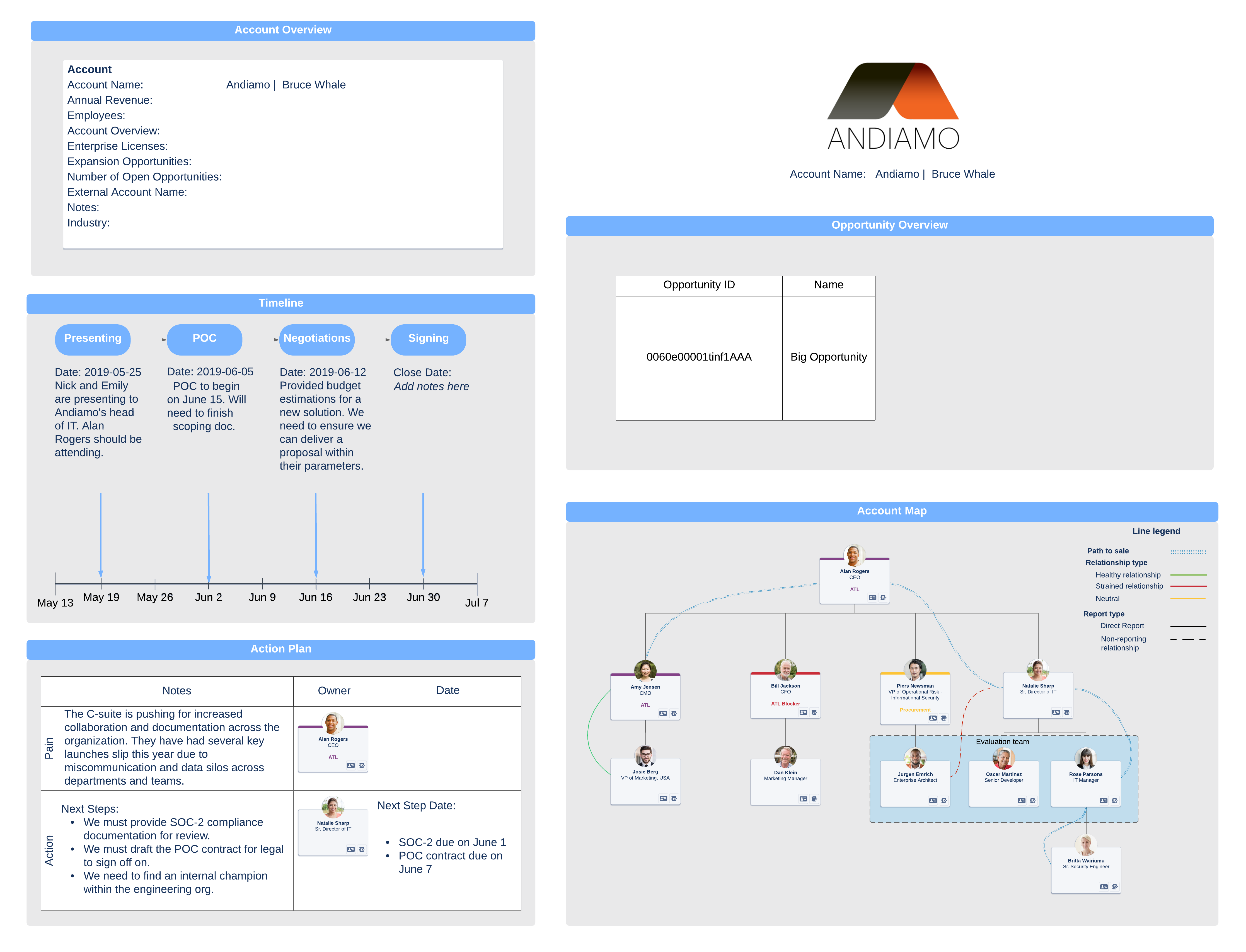 Detail Account Planning Template For Sales Nomer 16