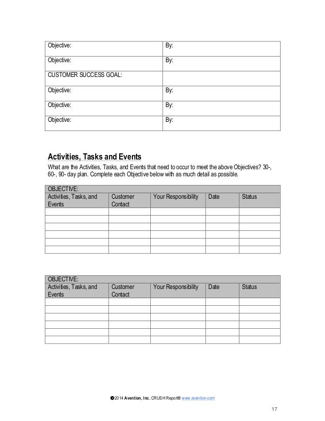 Detail Account Planning Template For Sales Nomer 21