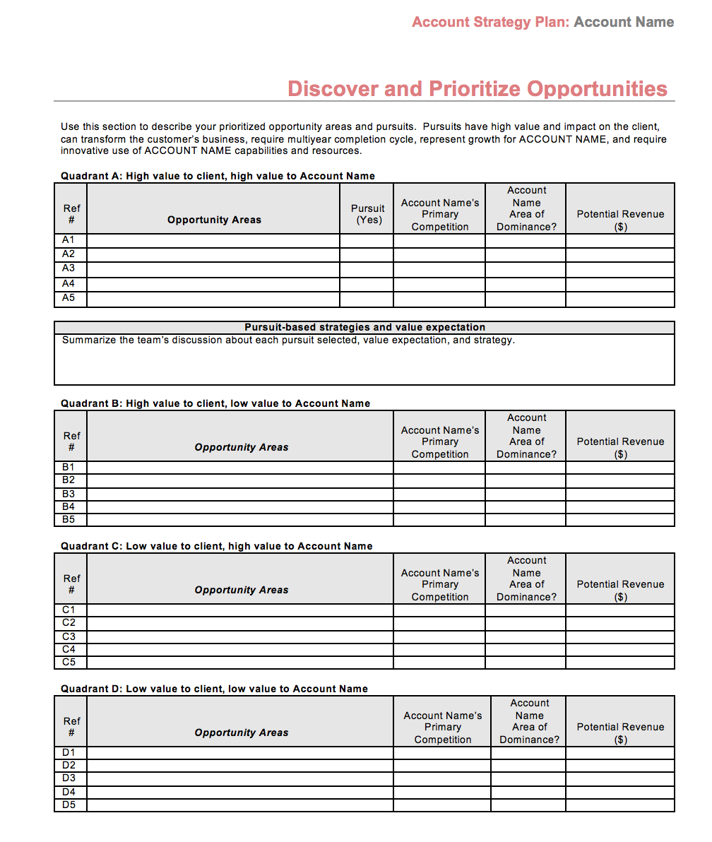 Detail Account Planning Template For Sales Nomer 23