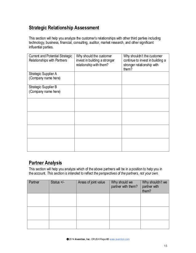 Download Account Planning Template For Sales Nomer 27