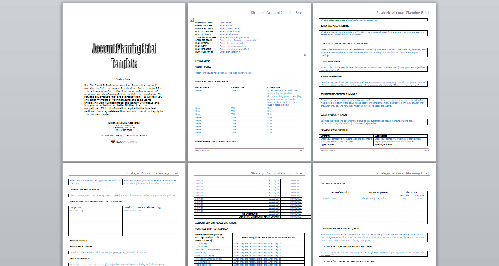 Detail Account Planning Template For Sales Nomer 30