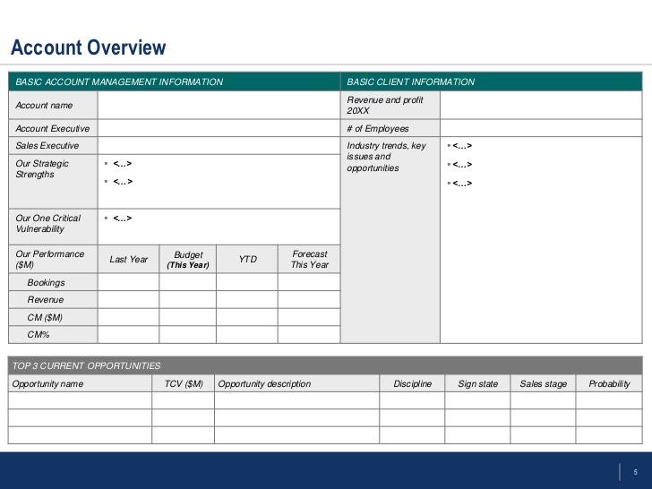 Detail Account Planning Template For Sales Nomer 36