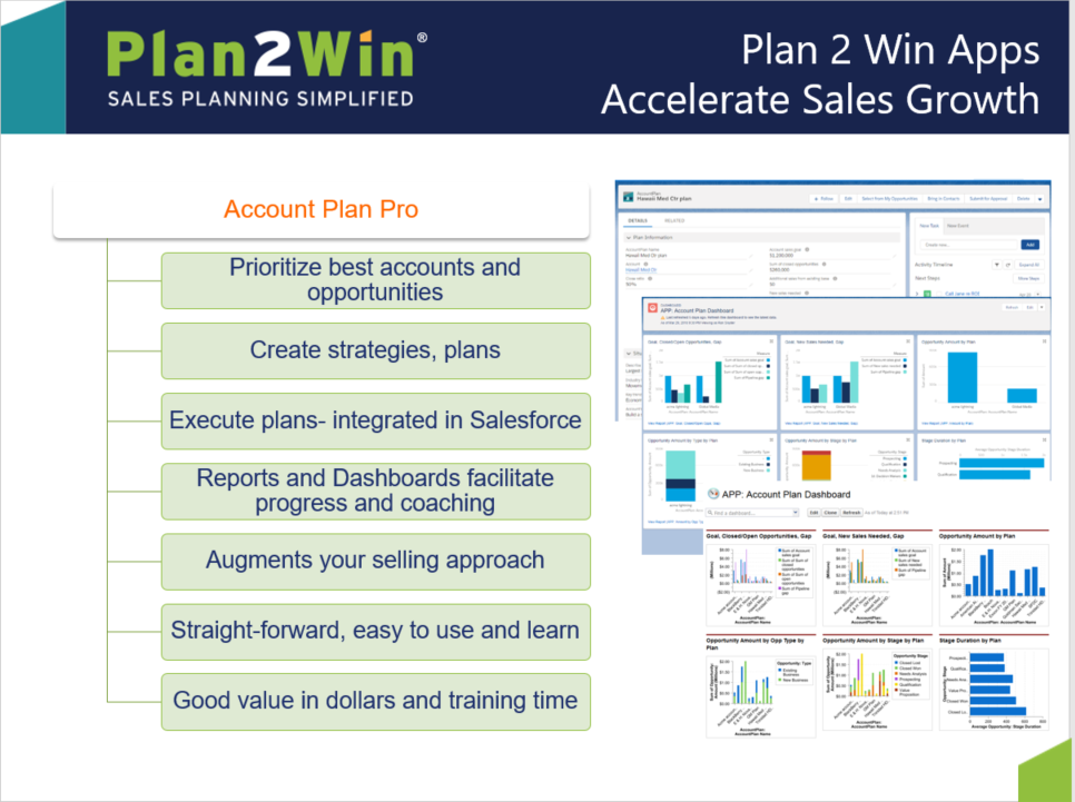 Detail Account Planning Template For Sales Nomer 37