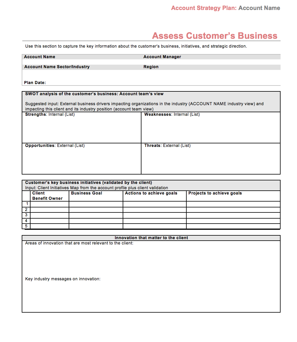 Detail Account Planning Template For Sales Nomer 38