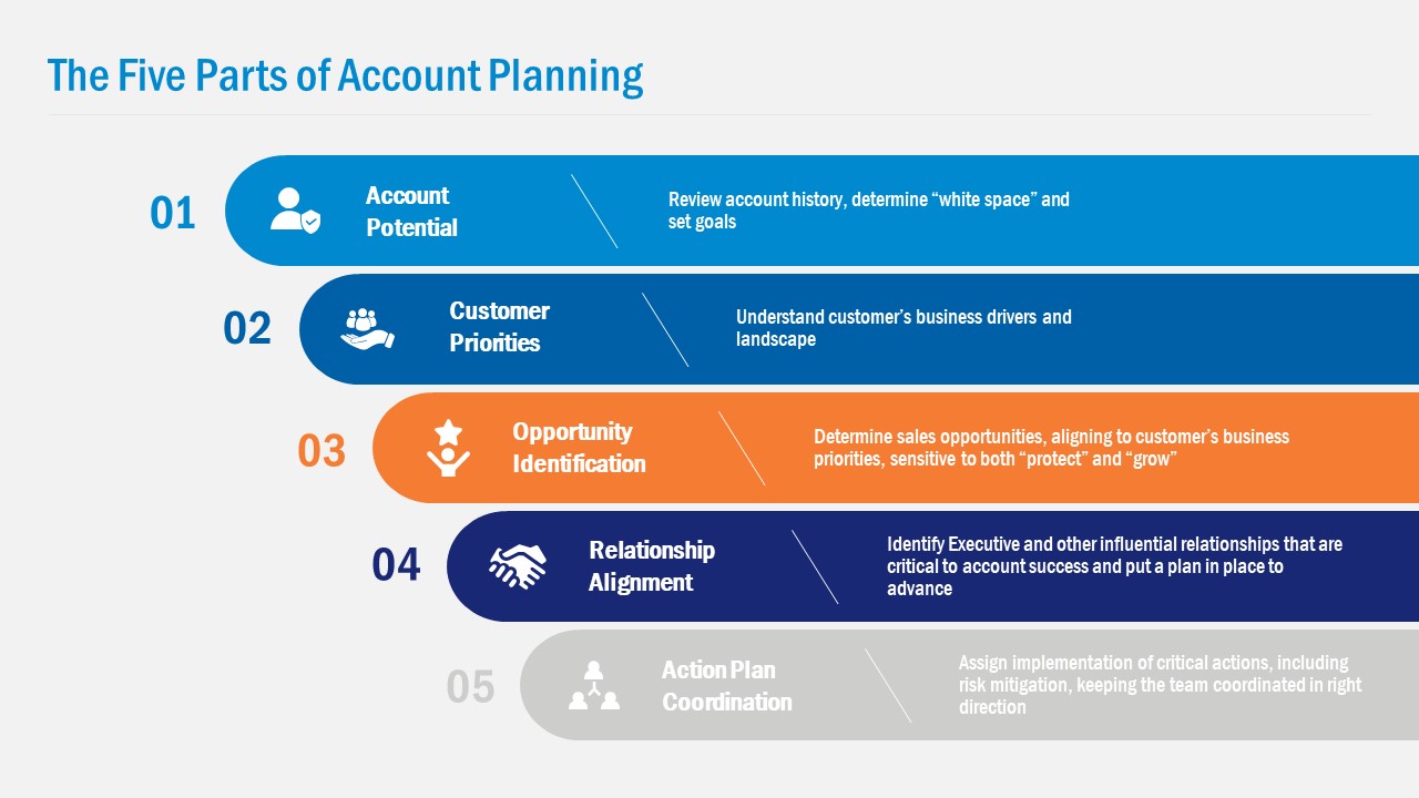 Detail Account Planning Template For Sales Nomer 5