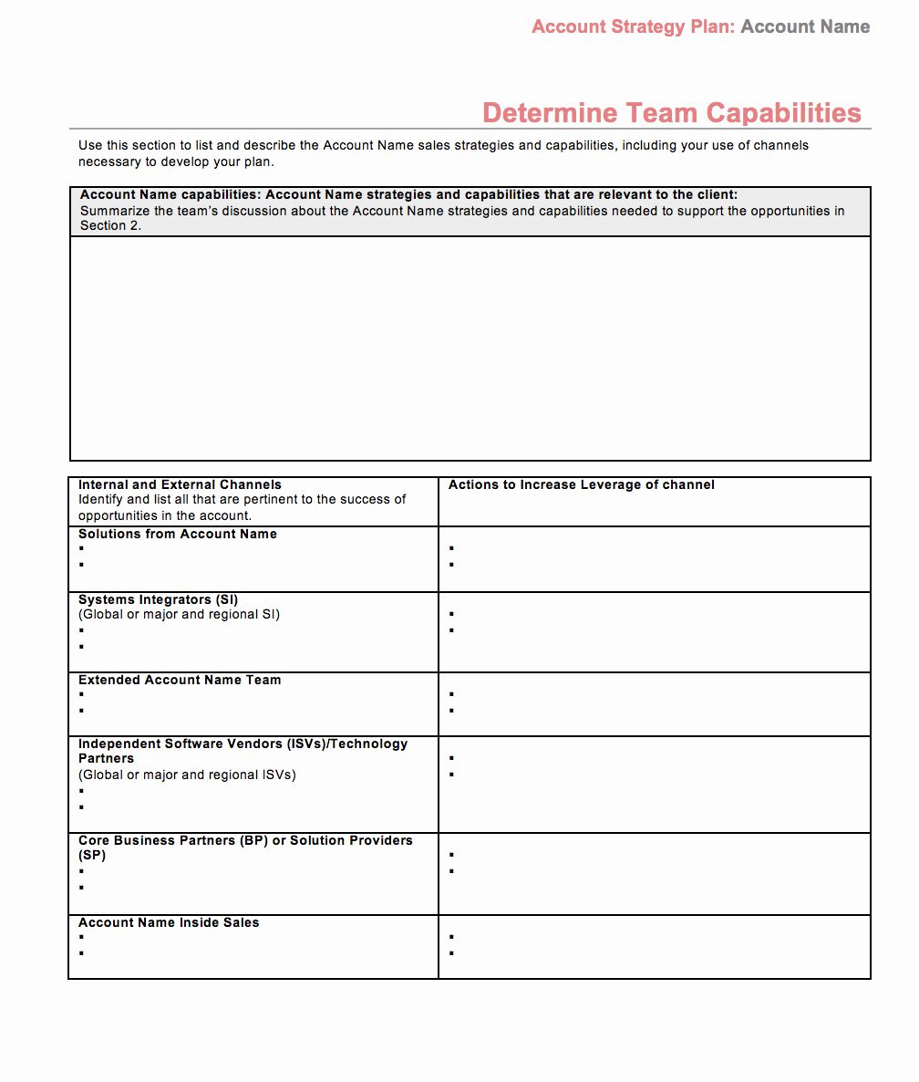 Detail Account Planning Template For Sales Nomer 47