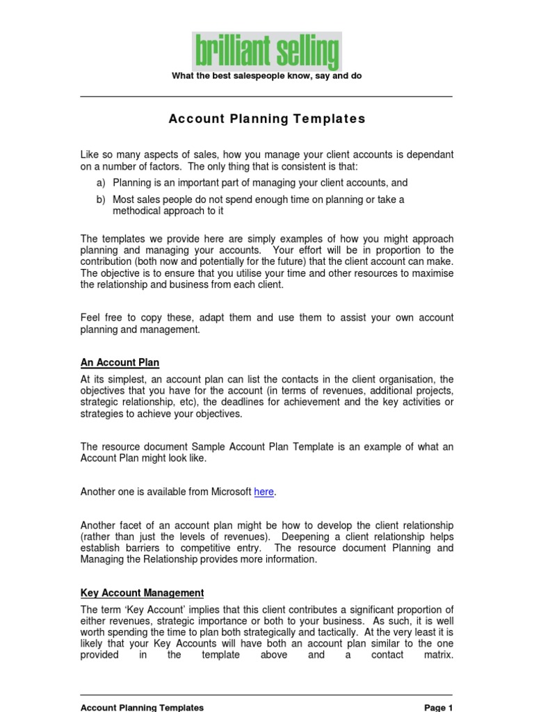 Download Account Planning Template For Sales Nomer 50