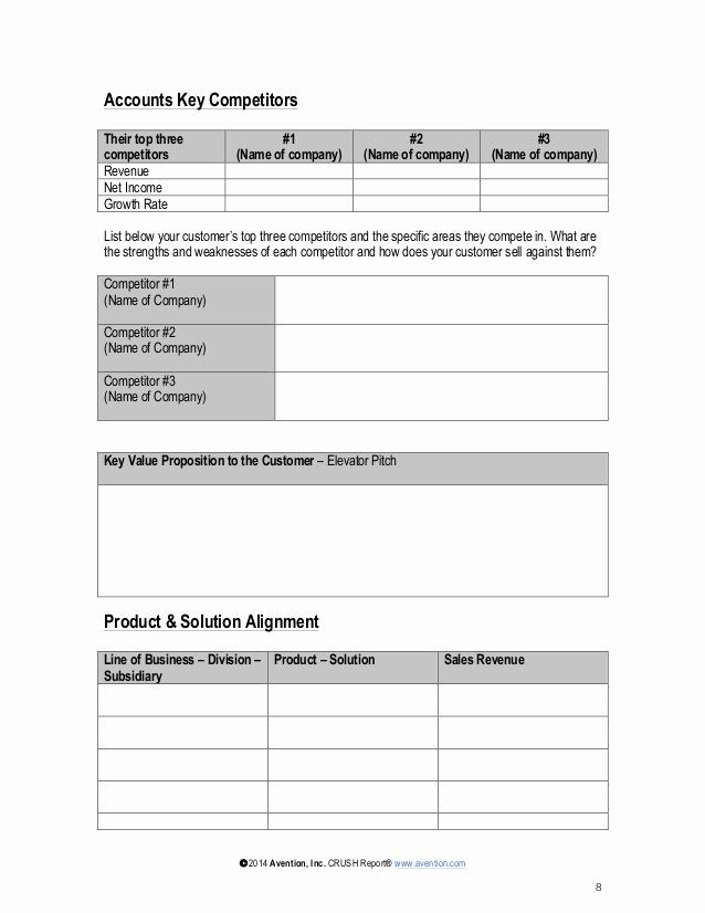 Detail Account Planning Template For Sales Nomer 52