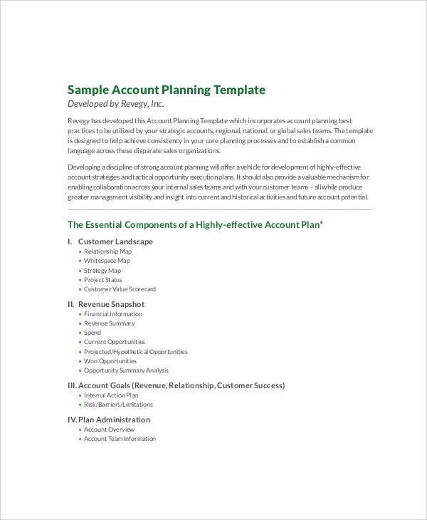 Detail Account Planning Template For Sales Nomer 53