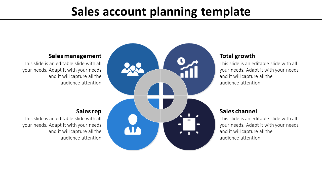 Detail Account Planning Template For Sales Nomer 7