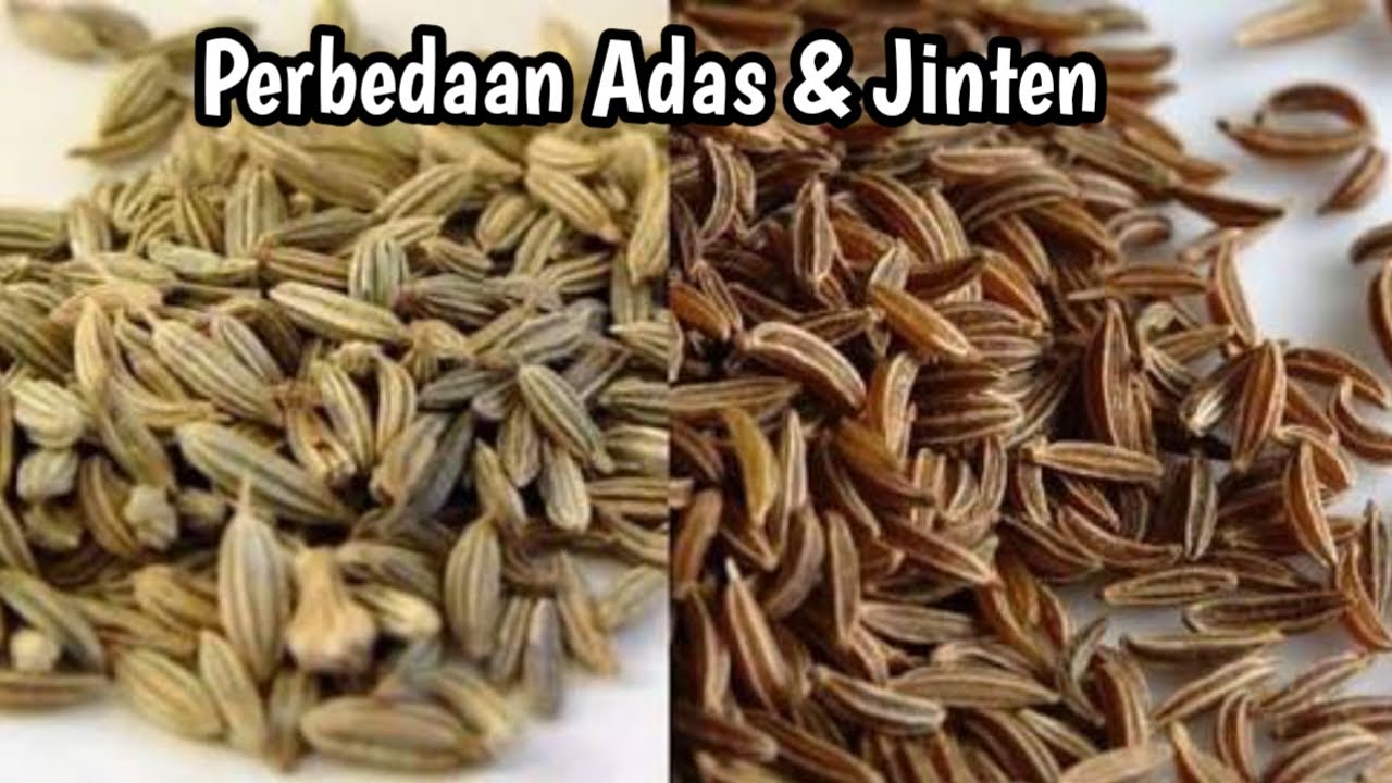 Detail Adas Adalah Jintan Nomer 2