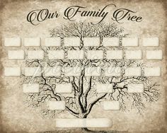 Detail Adobe Family Tree Template Nomer 37