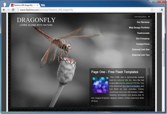 Download Adobe Flash Slideshow Template Nomer 6