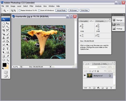 Download Adobe Photoshop Gratis Download Cs3 Nomer 8