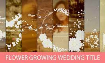 Detail After Effect Wedding Title Template Free Download Nomer 25