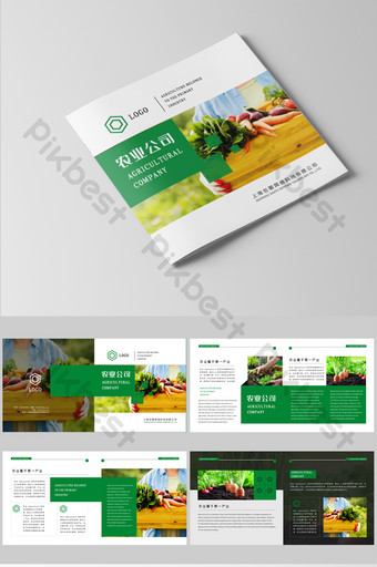 Detail Agriculture Company Profile Template Nomer 6