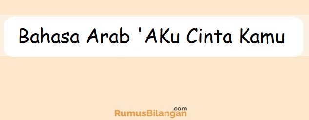 Detail Aku Mencintaimu Bahasa Arab Nomer 2