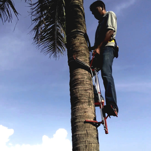 Detail Alat Panjat Pohon Kelapa Nomer 2