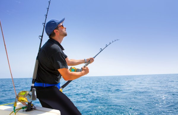 Detail Alat Untuk Memancing Nomer 25