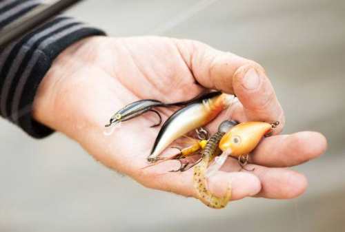 Detail Alat Untuk Memancing Nomer 48