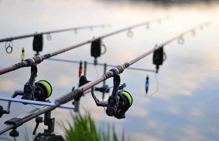 Detail Alat Untuk Memancing Nomer 7