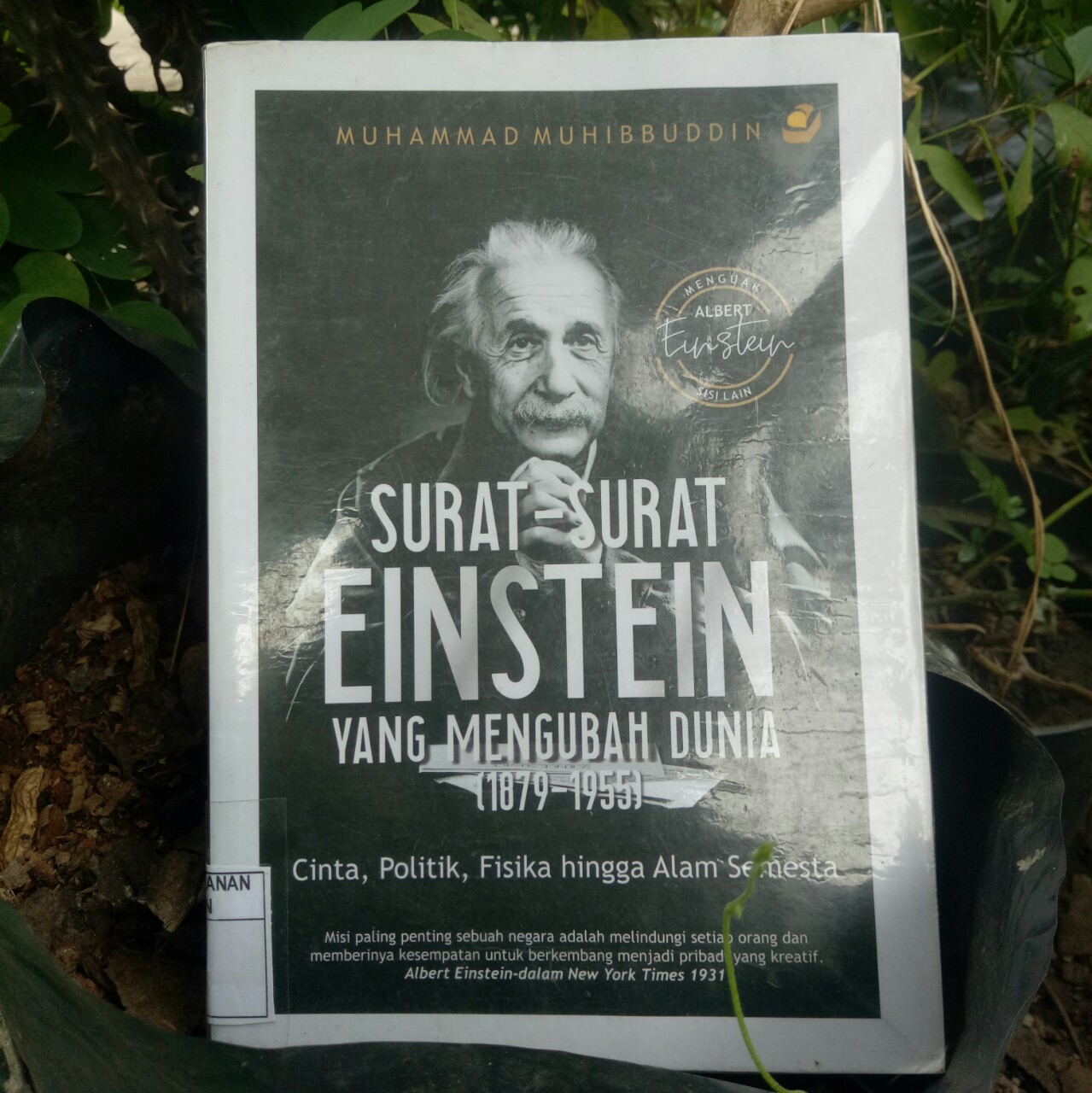 Detail Albert Einstein Buku Nomer 49