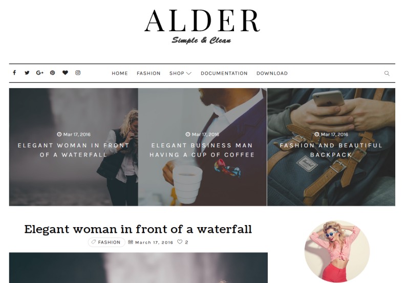 Detail Alder Blogger Template Premium Version Nomer 2