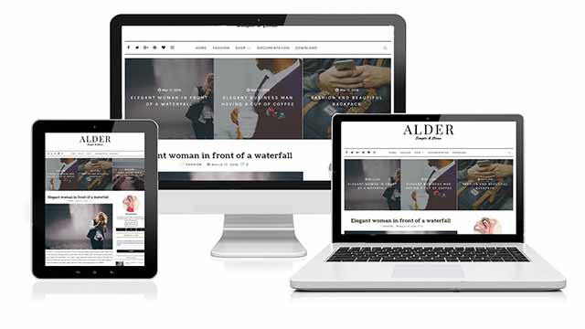 Detail Alder Blogger Template Premium Version Nomer 3