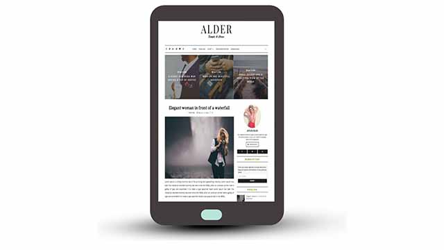 Detail Alder Blogger Template Premium Version Nomer 4