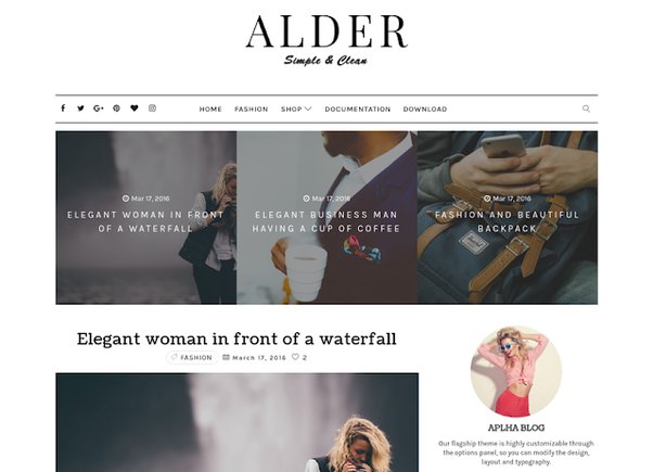 Detail Alder Blogger Template Premium Version Nomer 7