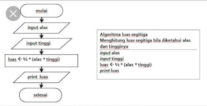 Detail Algoritma Dan Flowchart Menghitung Luas Segitiga Nomer 2