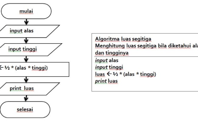 Detail Algoritma Dan Flowchart Menghitung Luas Segitiga Nomer 16