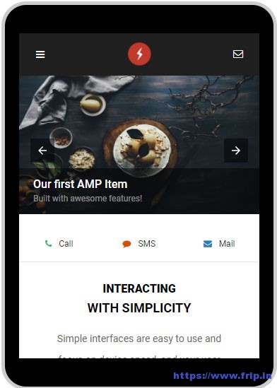 Detail Amp Html Template Nomer 2