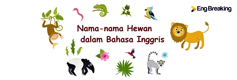 Detail Anak Sapi Bahasa Inggris Nomer 39