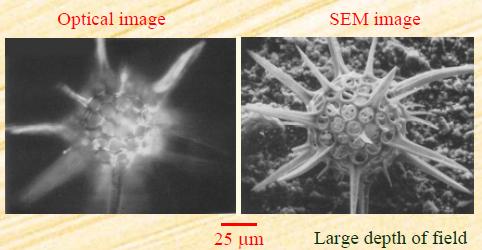 Detail Analisa Gambar Mikroskop Nomer 11