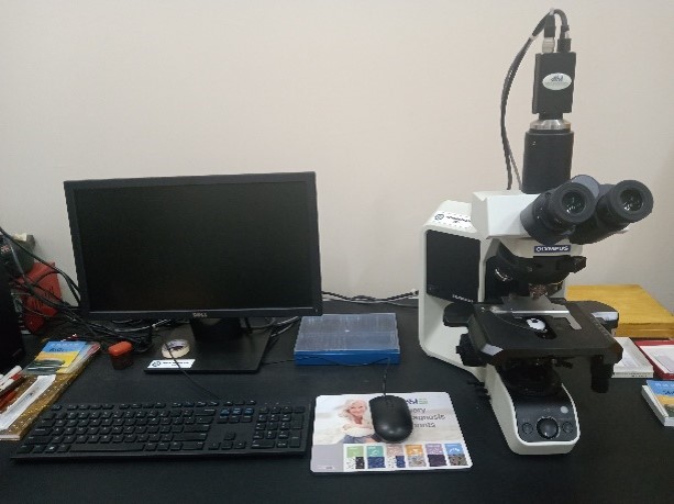 Detail Analisa Gambar Mikroskop Nomer 20