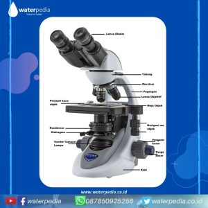 Detail Analisa Gambar Mikroskop Nomer 4