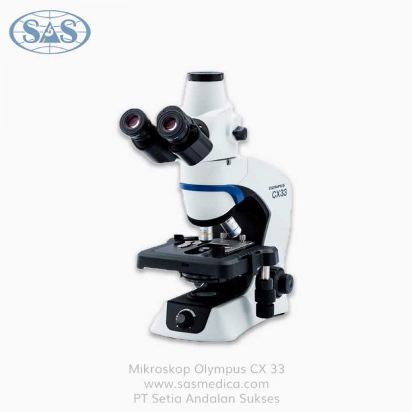 Detail Analisa Gambar Mikroskop Nomer 31