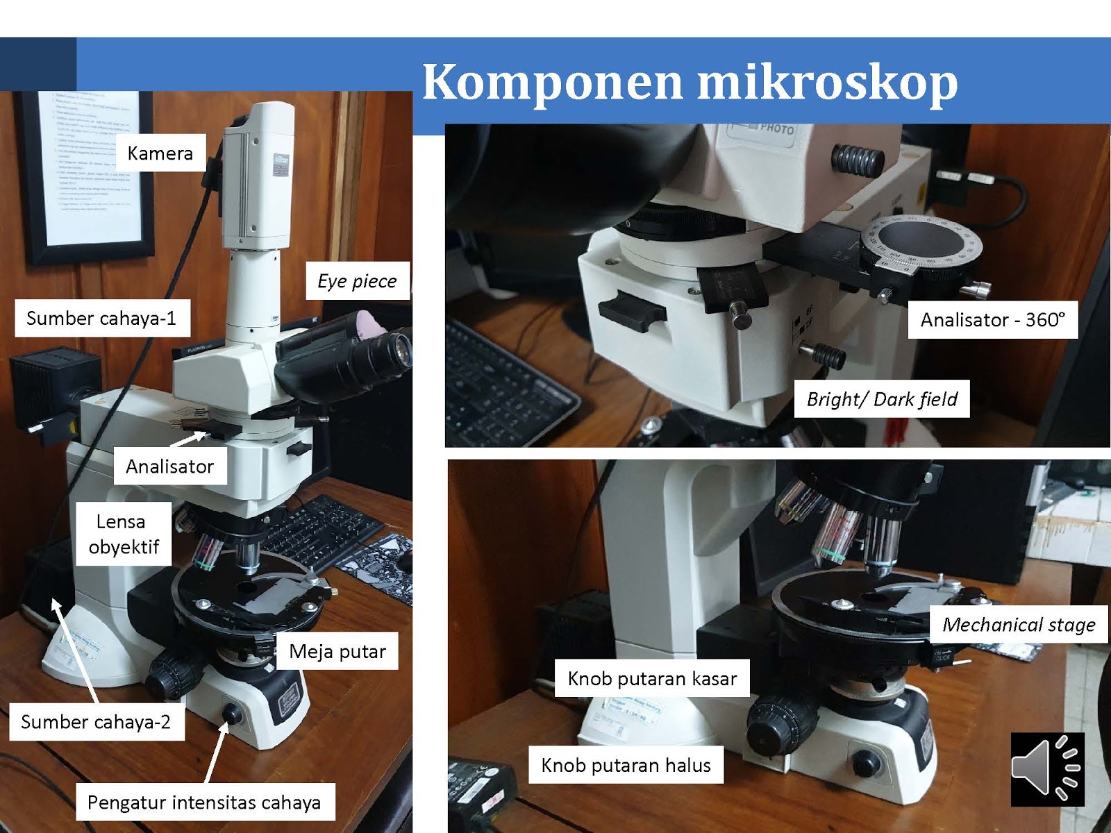 Detail Analisa Gambar Mikroskop Nomer 36