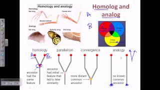 Detail Analogi Dan Homologi Nomer 13