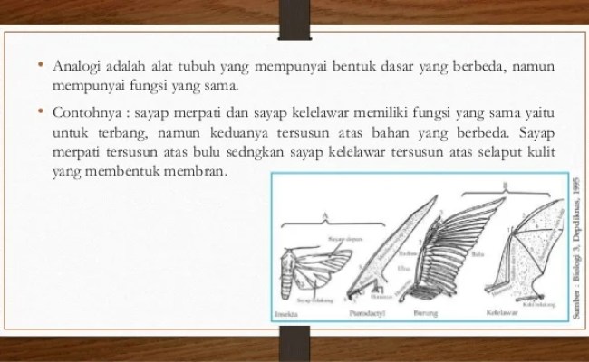 Detail Analogi Dan Homologi Nomer 39