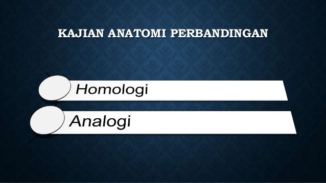 Detail Analogi Dan Homologi Nomer 43