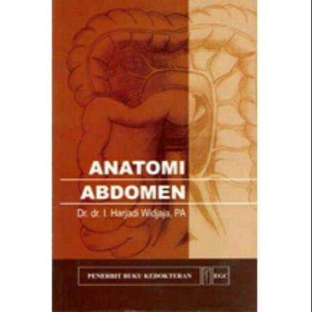 Detail Anatomi Abdomen Manusia Nomer 22