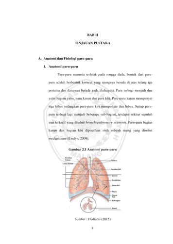 Detail Anatomi Paru Paru Manusia Nomer 34