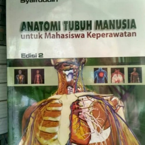 Detail Anatomi Tubuh Manusia Asli Nomer 36