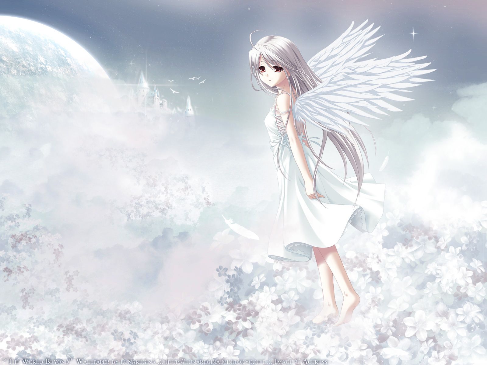 Detail Angel Anime Girl Nomer 7