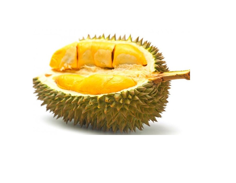 Detail Angka Togel Durian Nomer 10