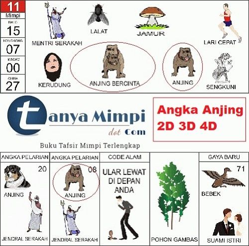 Download Angka Togel Macan Nomer 9