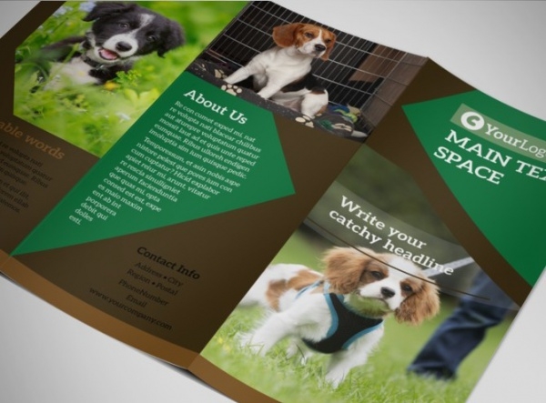 Detail Animal Brochure Template Nomer 44