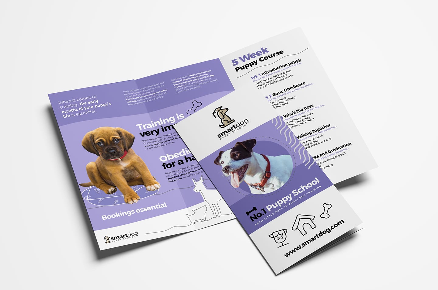 Detail Animal Brochure Template Nomer 52